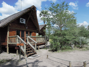 Accommodation Nata Lodge chalets