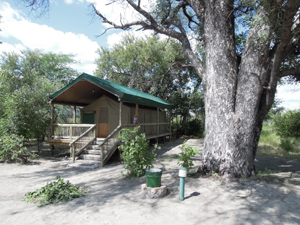Accommodation Nata Lodge Camping